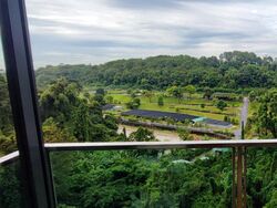 Normanton Park (D5), Apartment #596451541